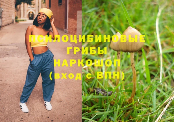 дживик Баксан