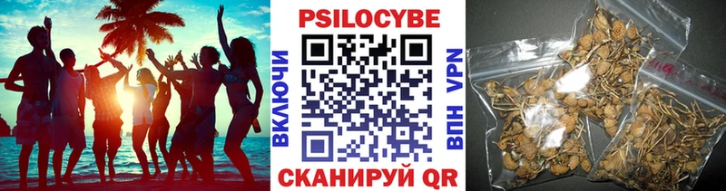 где можно купить наркотик  Яранск  Галлюциногенные грибы Magic Shrooms 